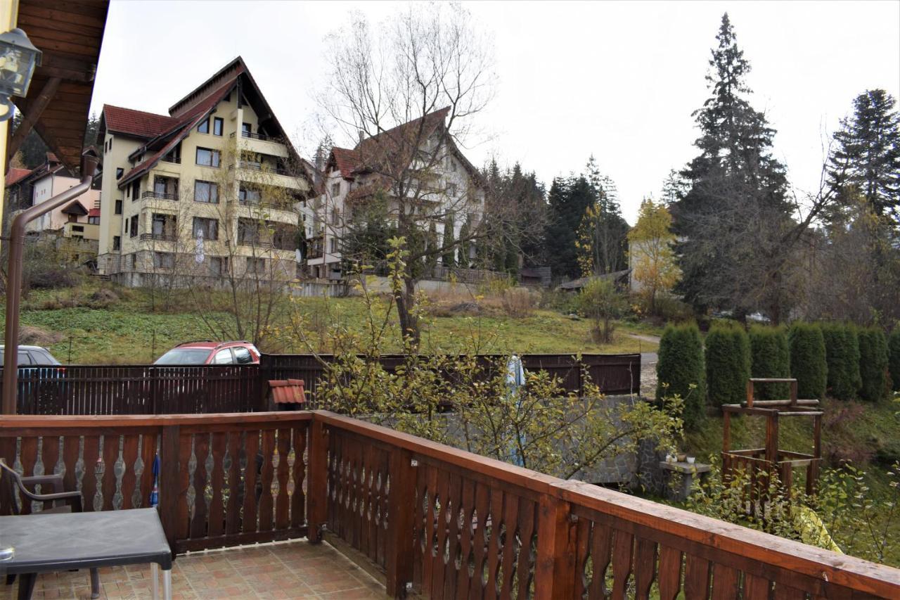 Vila Brad Predeal Buitenkant foto