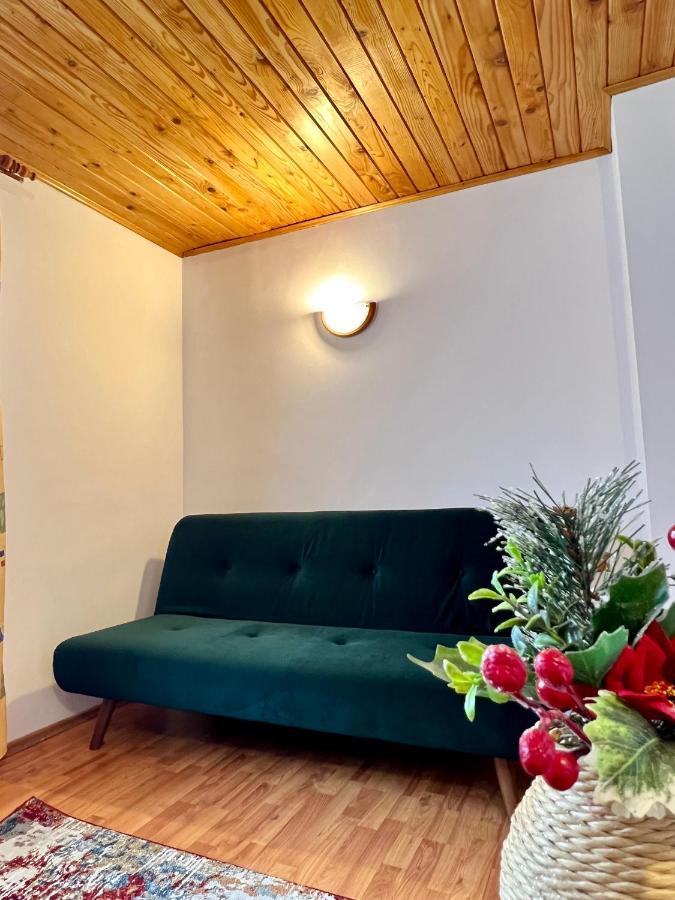 Vila Brad Predeal Buitenkant foto